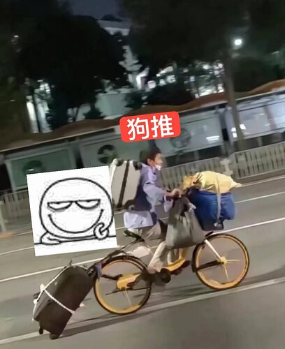 telegram-cloud-photo-size-5-6325856729992120325-y